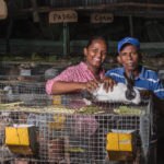 Emprendedores dominicanos de la FMBBVA Fotografía de emprendedores dominicanos de la FMBBVA
