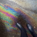 La contaminación de los suelos afecta a todos los continentes y hasta a las regiones más remotas de la Tierra. Aunque suele resultar invisible, afecta a la capacidad de los suelos para ofrecer sus servicios ecosistémicos, esenciales para mantener la salud de la naturaleza y de los seres humanos. Un gran gigante silencioso: ¿cómo nos afecta la contaminación del suelo?