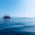 El futuro del ser humano depende de la gestión sostenible de todo lo que nos ofrece el mar, de la llamada economía azul. Además de transportar la energía solar, los océanos conectan ecosistemas y son grandes sumideros de dióxido de carbono (CO2). ¿Qué es la economía azul y cuáles son sus características? Lo que el mar ofrece