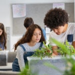 Educación ambiental: la clave para combatir el cambio climático